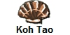 Koh Tao