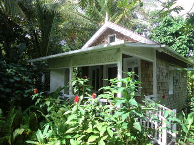 Bamboo Cottage in the jungle