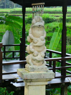 in Ubud